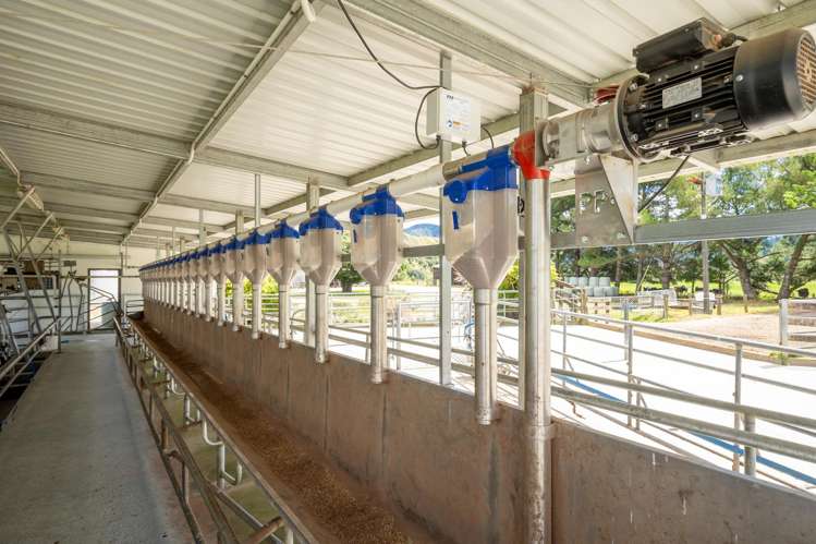 1153 Shenandoah Highway Murchison_5