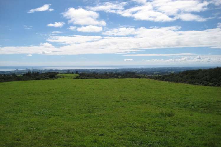 1113 Plymouth Road Koru_6