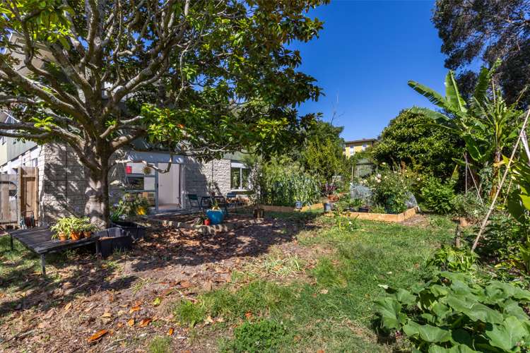 1/49 Seabrook Avenue New Lynn_16