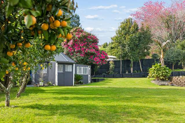47B Taniwha Place Bethlehem_2
