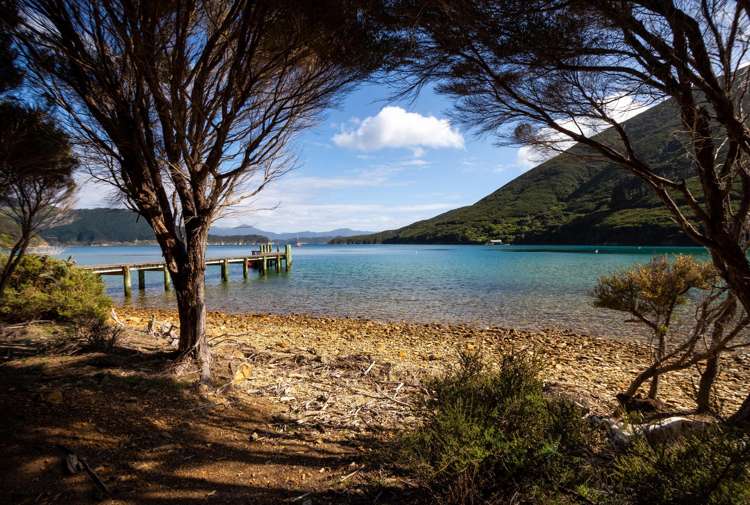 Lot 4 + 5 Te Aroha Bay, Otanerau Bay_0