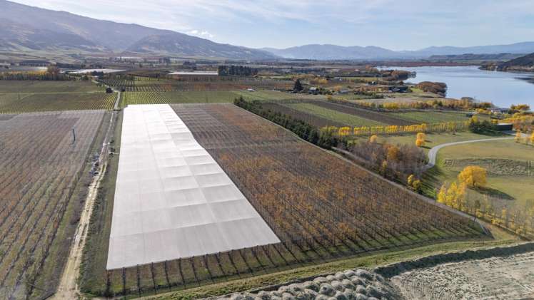 Smiths Way Cromwell_11