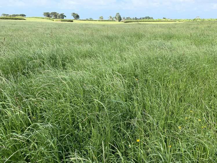 2372 Opunake Road Awatuna_24