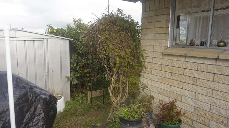 38a Bent Street Putaruru_12