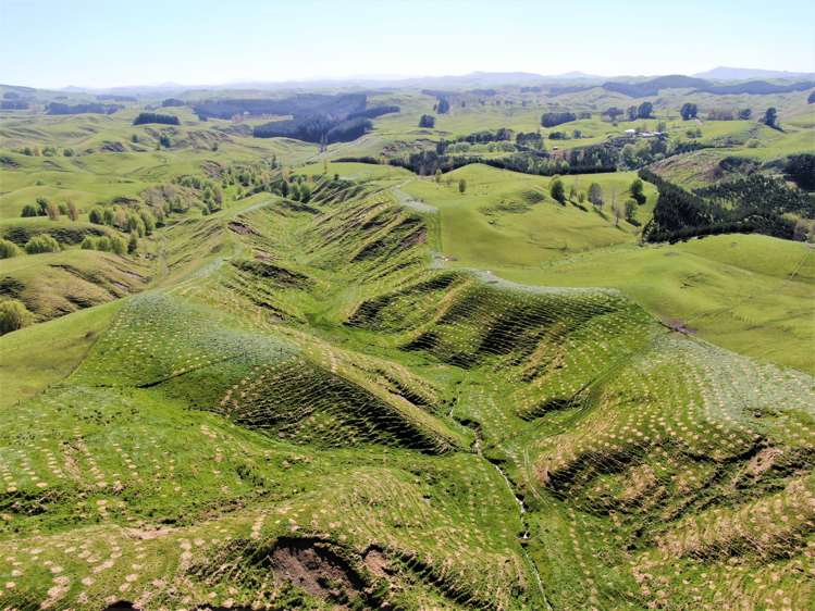 338 Te Awa Road Hawkes Bay_9