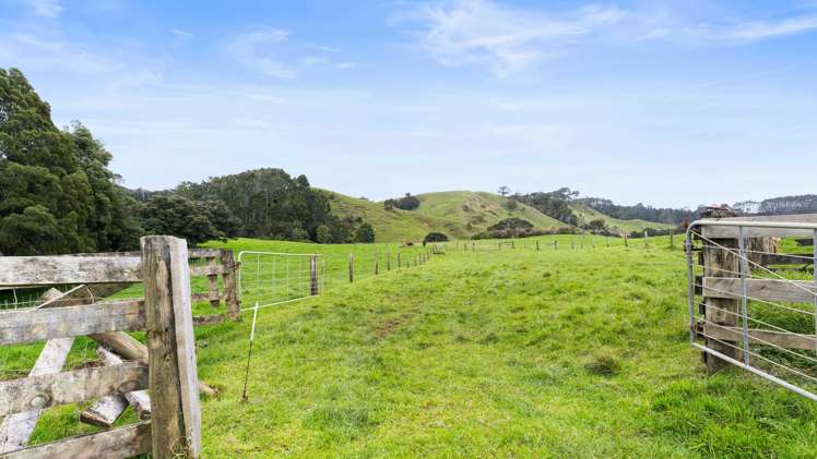 Lot 4-5/2500 Awhitu Road Awhitu_17