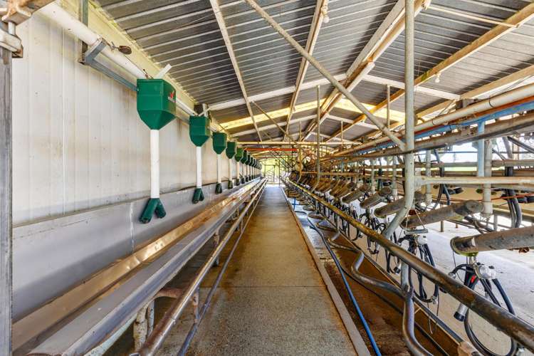 58 Nicholson Road Piarere_7