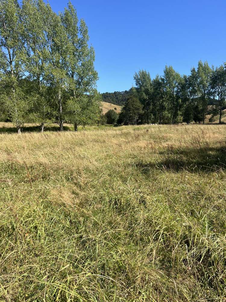 3/155 Old Mountain Road Karamu_8