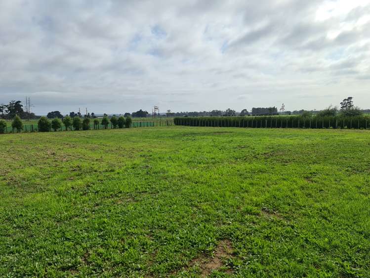 11 Ruapai Drive Levin_14