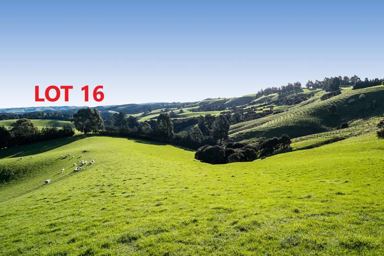 Table Hill Road Milton_11