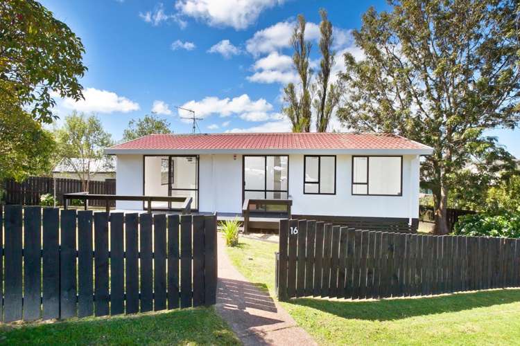 16 Maywood Crescent Glen Eden_2