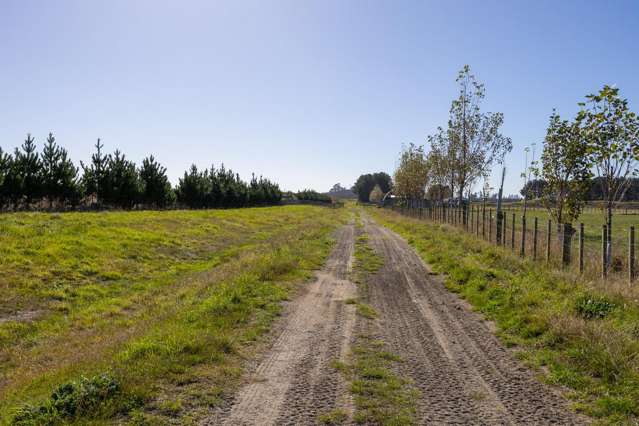 163 Downs Road Himatangi_3
