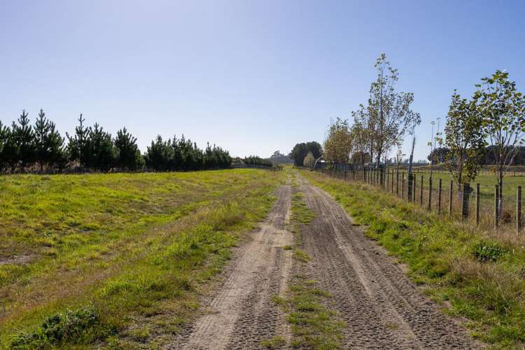 163 Downs Road Himatangi_3
