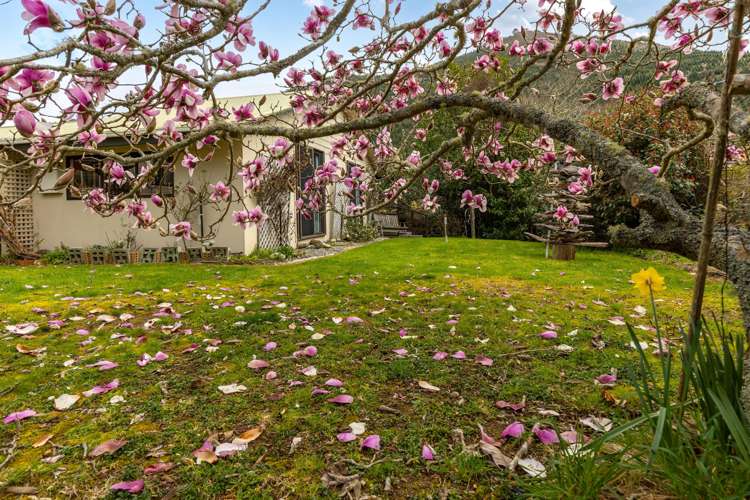 420 Wakamarina Road Canvastown_23