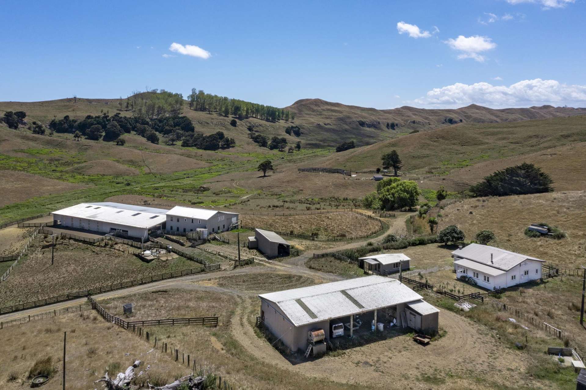 1002 Te Akau Road Te Akau_0