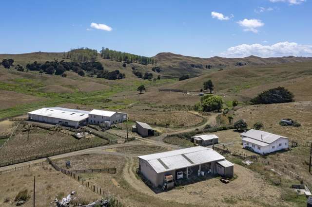 Welcome to 1002 Te Akau Road - 53.9ha