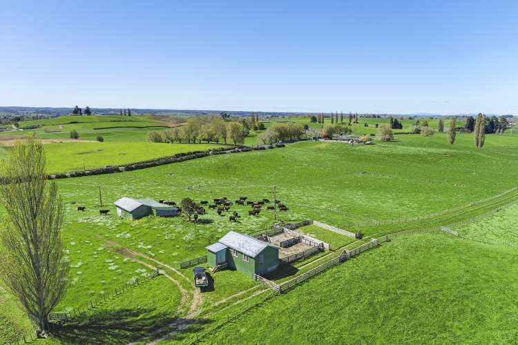 1292 State Highway 1 Tirau_11