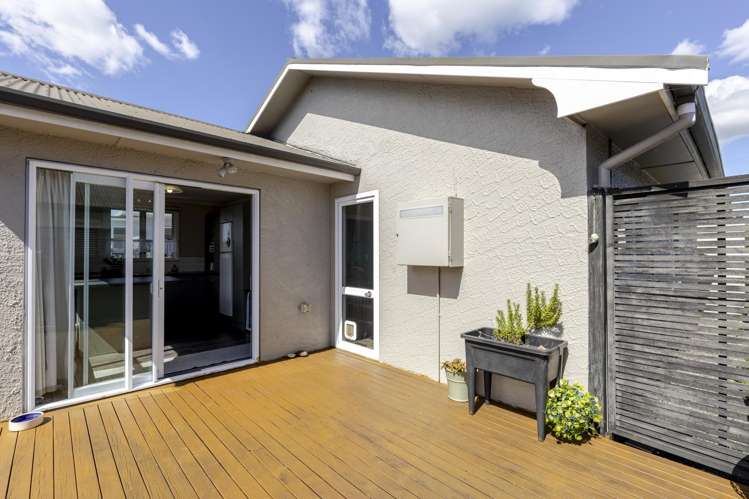 317 Carrington Street Vogeltown_16