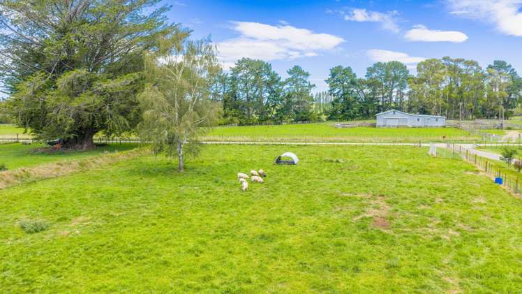 Lot Lot 2,/14 Sedgwick Street Tikokino_5