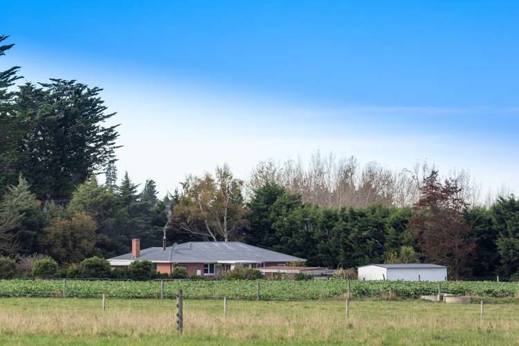 4579 Arundel Rakaia Gorge Road Mount Somers_15