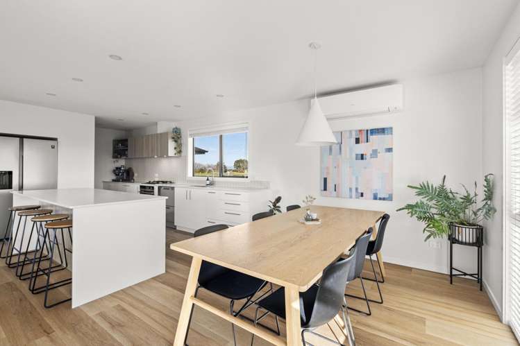 39 George Street Bulls_9