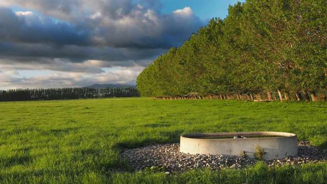 273b Diversion Road Featherston_4