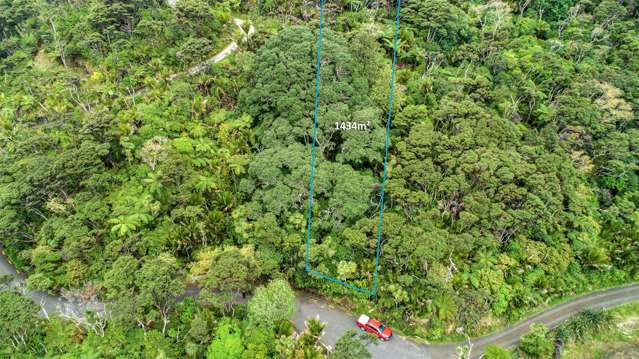 13 Tasman View Road Bethells Beach_1