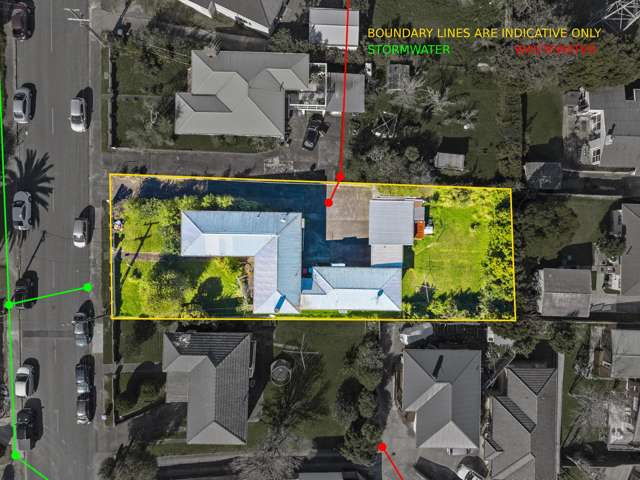 50 Ellis Avenue Mount Roskill_1