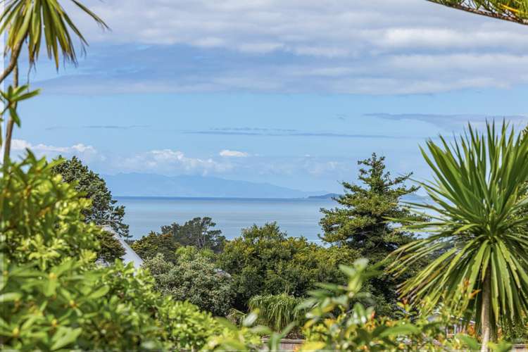 23 Coromandel Crescent Mairangi Bay_1
