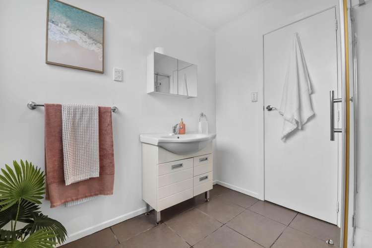 30 Alma Street Renwick_13