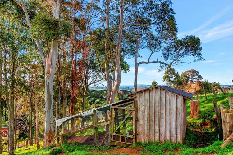 399 Wainui South Road Whakamarama_18