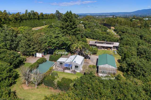 463 State Highway 2 Katikati_4