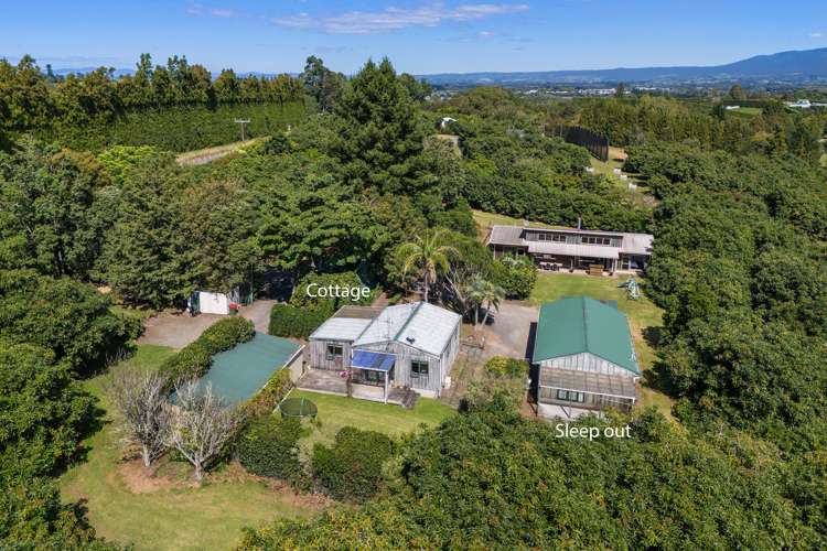 463 State Highway 2 Katikati_3