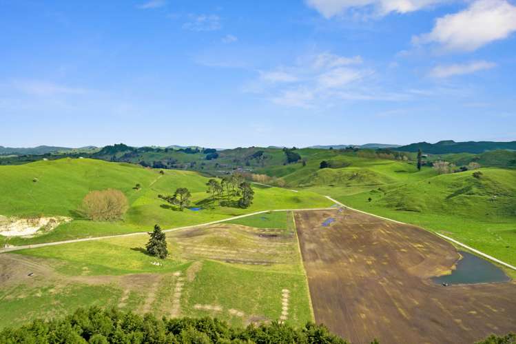 385 Whirinaki Valley Road Ngakuru_14