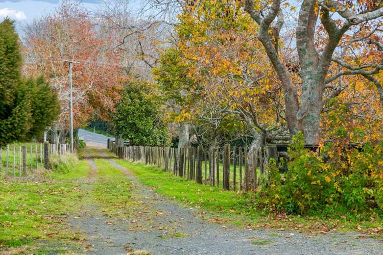 1984 Hunua Road Hunua_10