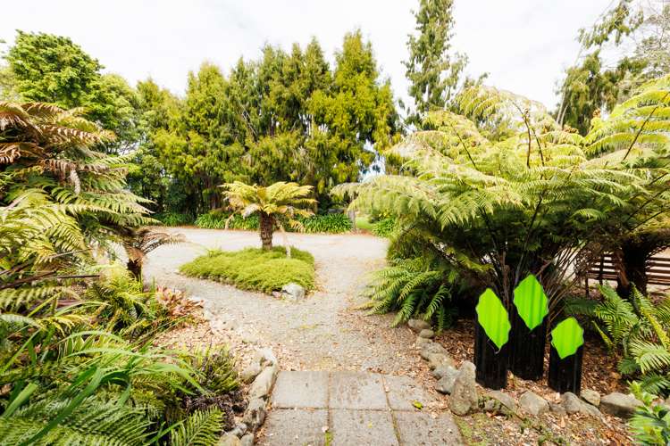 279 Tararua Road Levin_30