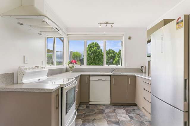 267 Whakapapa Road Kakahi_3