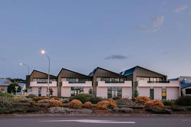 52 Bridge Street Ahuriri_2