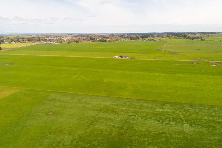 287 State Highway 1 Bulls_7