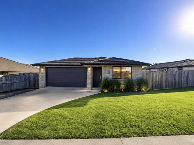 23 Swan Road Te Kauwhata_3