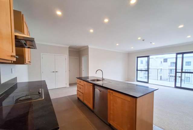 Rare 1 bedroom apartment in Flat bush