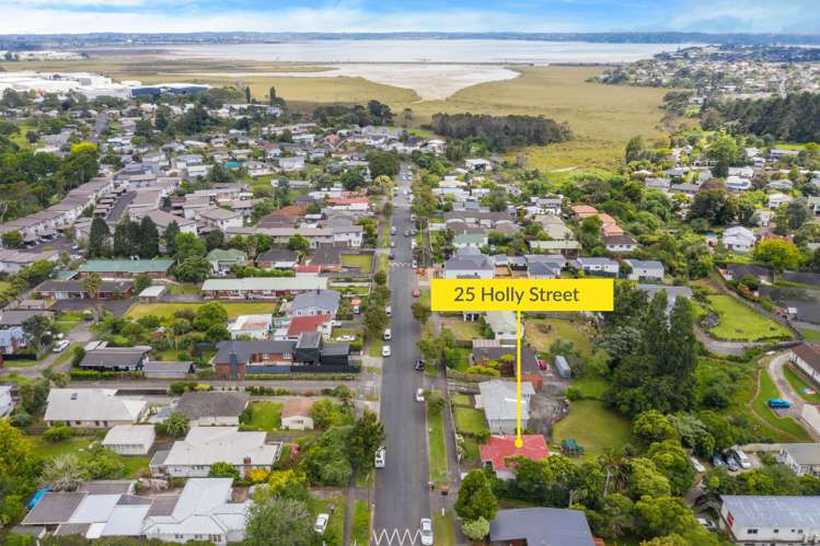 25 Holly Street Avondale_3
