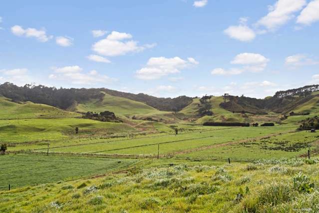 116 West Coast Road Awhitu_2