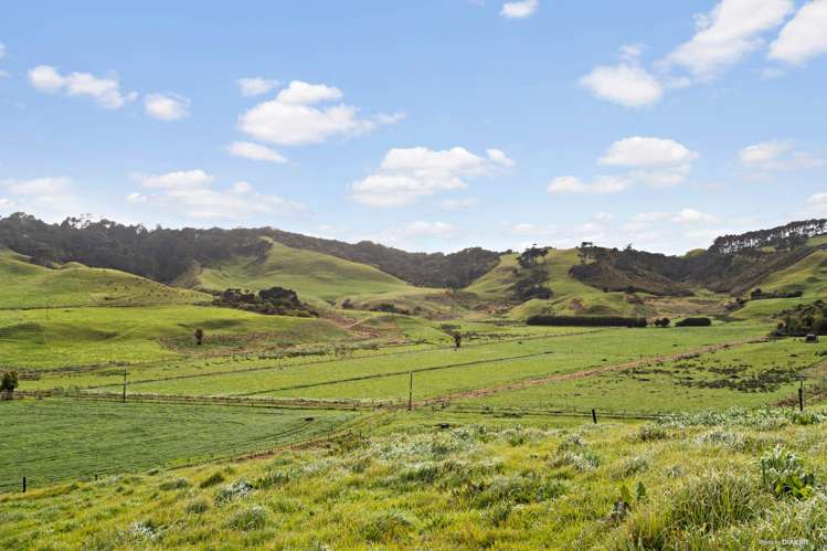116 West Coast Road Awhitu_2