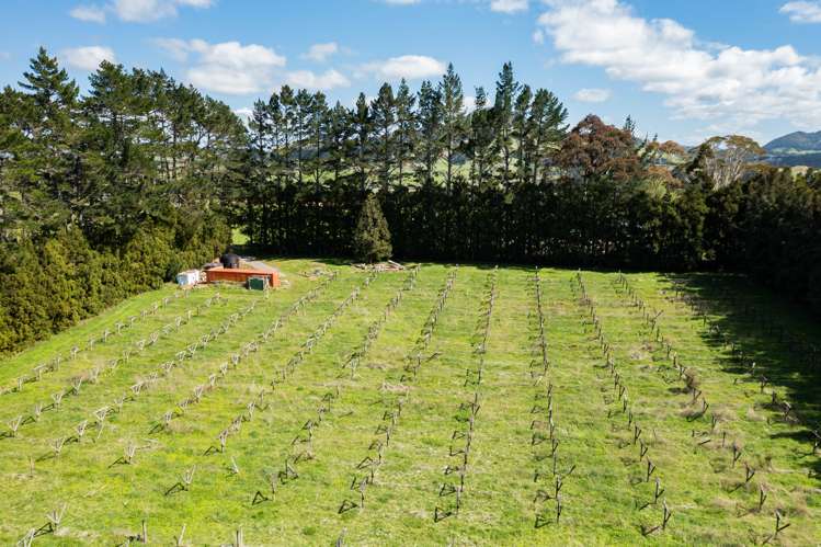 1374 Pipiwai Road Ruatangata_10