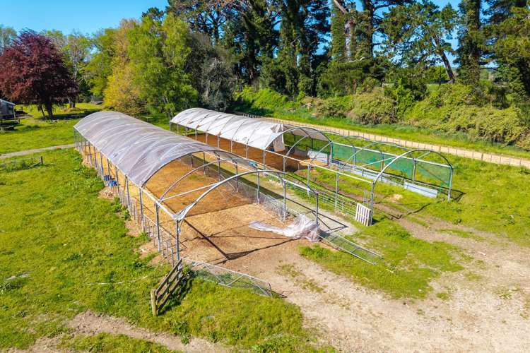 829 Ballance Valley Road Pahiatua_11