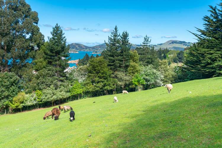 62 Reynoldstown Road Careys Bay_15