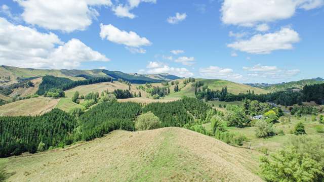 1601 Kahuranaki Road Havelock North_4