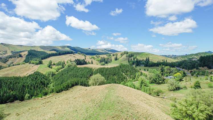 1601 Kahuranaki Road_4