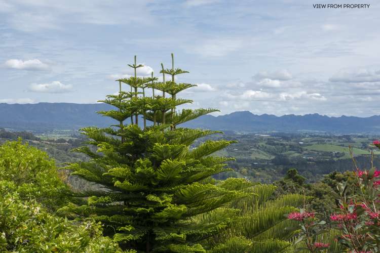 225a Minden Road Wairoa_16